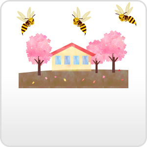春どきから蜂を見かける