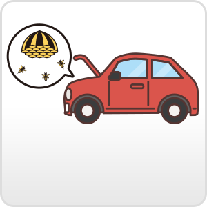 車のボンネットの中に蜂の巣がある