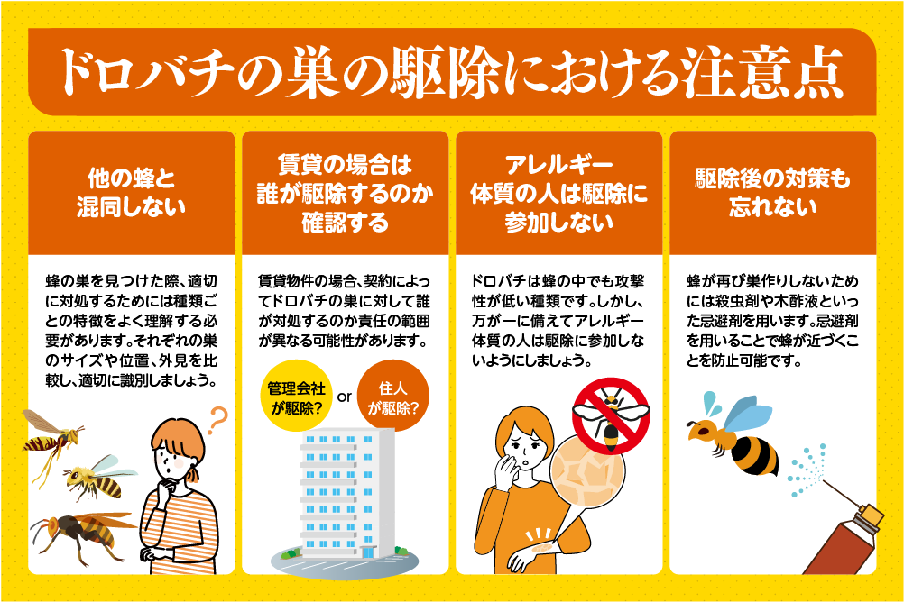 ドロバチの巣の駆除における注意点