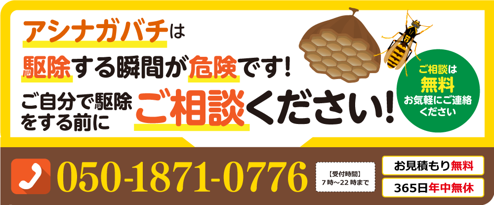 アシナガバチは駆除する瞬間が危険です！ご自身で駆除をする前にご相談ください