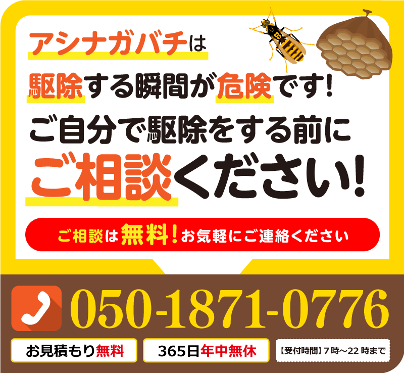 アシナガバチは駆除する瞬間が危険です！ご自身で駆除をする前にご相談ください