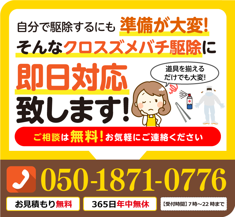 クロスズメバチ駆除に即日対応いたします