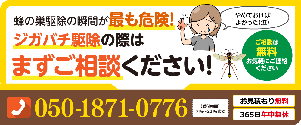 ジガバチ駆除の際はまずはご相談ください
