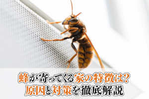 蜂が寄ってくる家の特徴は？原因と対策を徹底解説