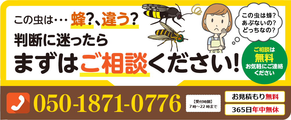 蜂か判断に迷ったらご相談ください