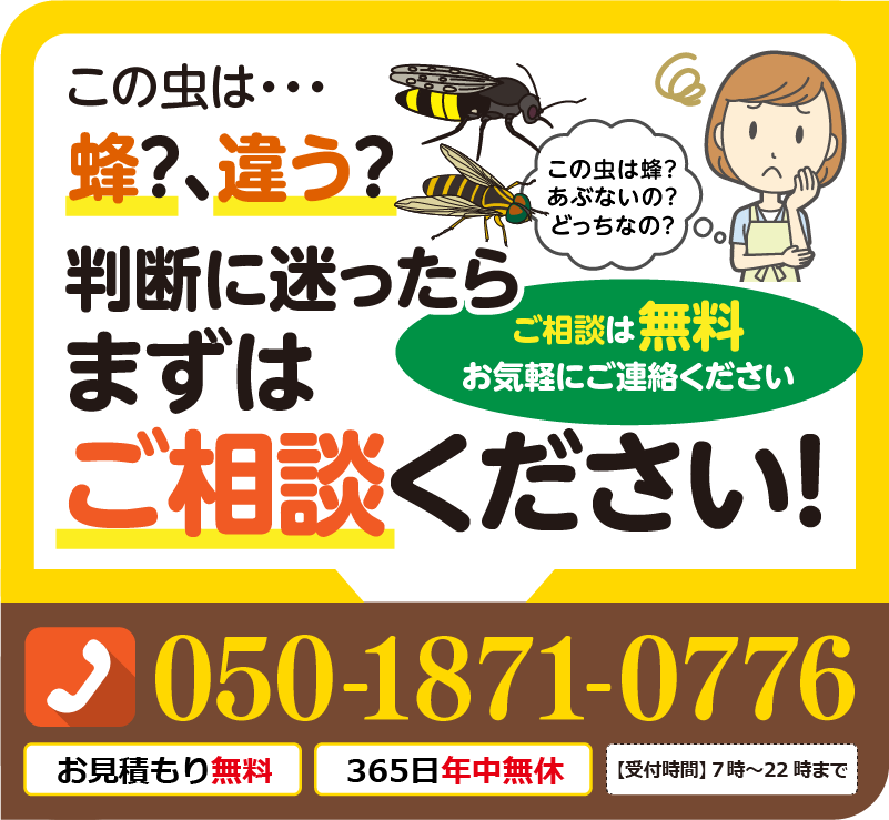 蜂か判断に迷ったらご相談ください