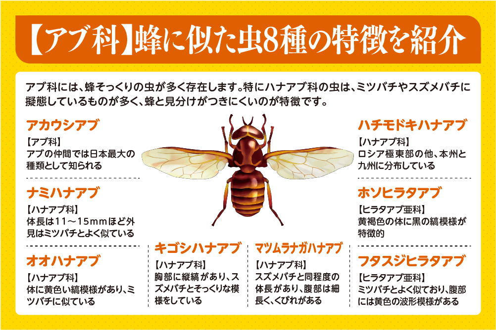 【アブ科】蜂に似た虫8種の特徴を紹介