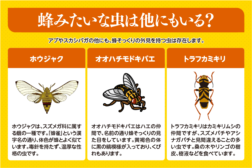 蜂みたいな虫は他にもいる？