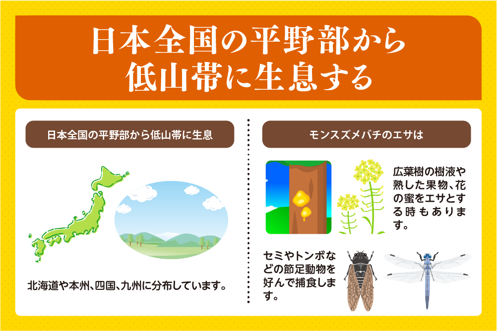 日本全国の平野部から低山帯に生息する