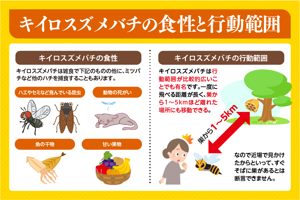キイロスズメバチの食性と行動範囲
