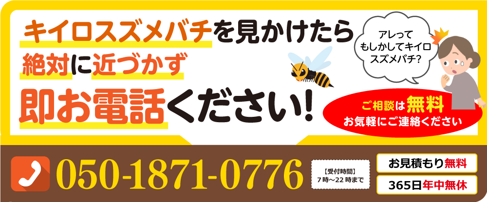 キイロスズメバチを見かけたら絶対に近づかず即お電話ください