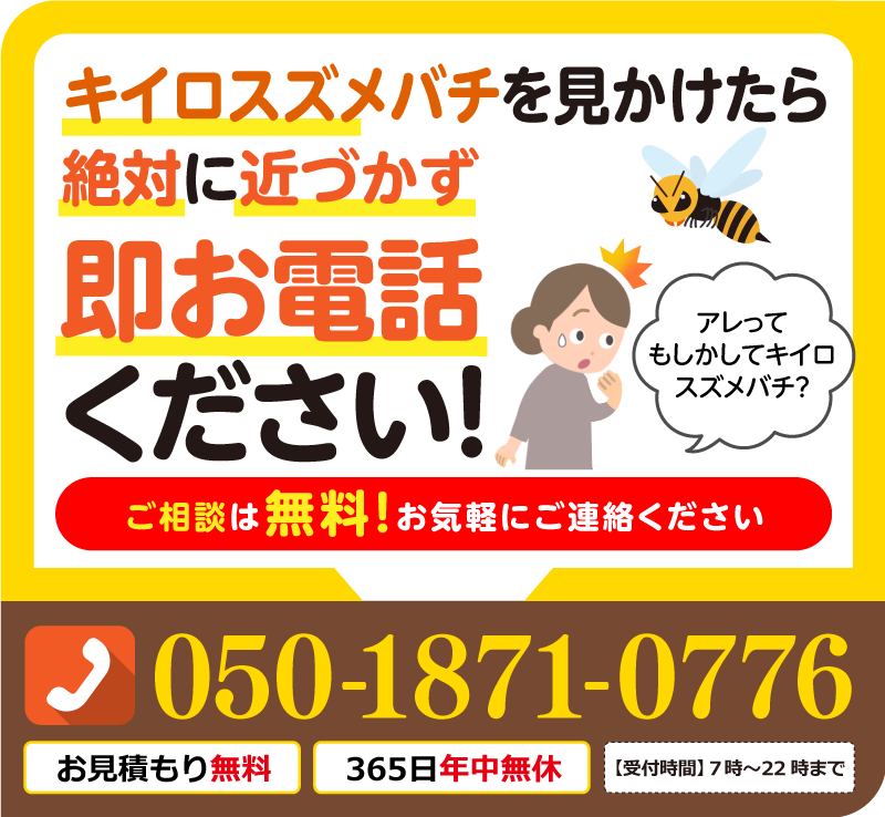 キイロスズメバチを見かけたら絶対に近づかず即お電話ください