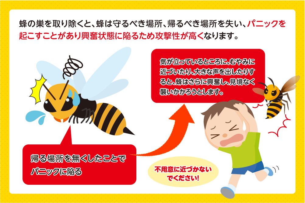 なぜ危険？戻りバチの攻撃性が高い理由