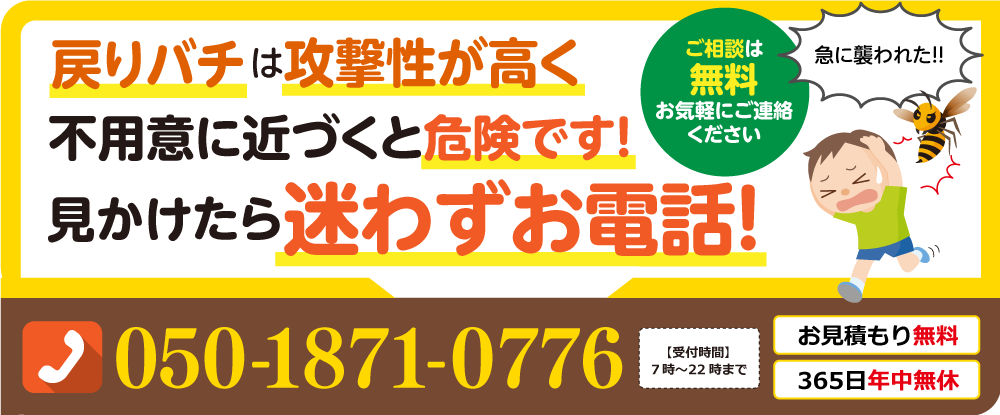 戻りばちは攻撃性が高く不用意に近づくと危険です。見かけたら迷わずお電話！