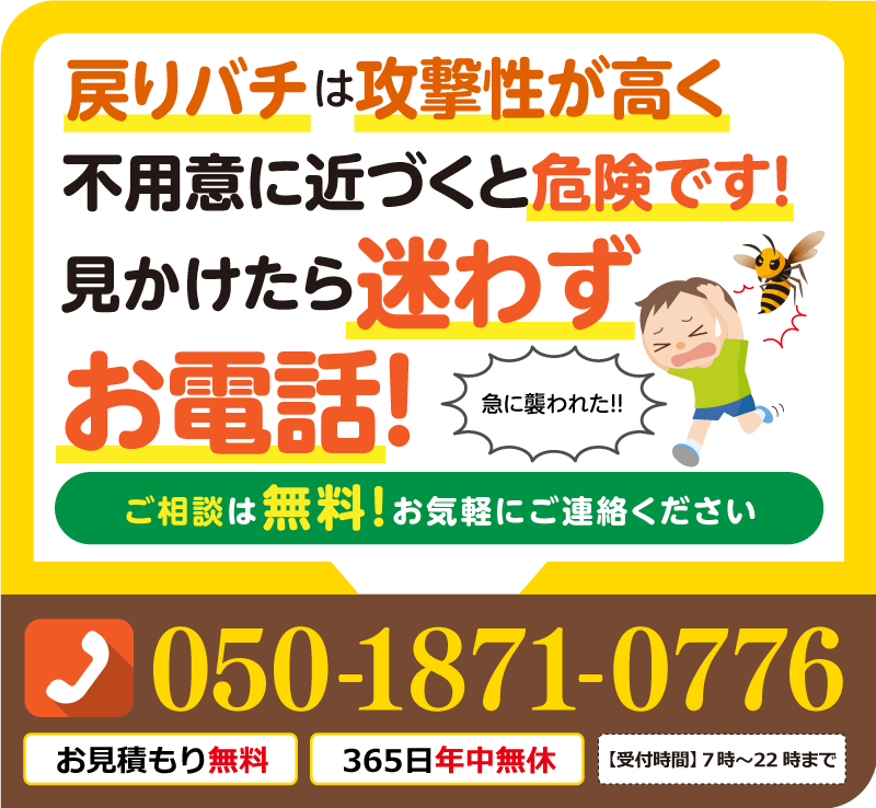 戻りばちは攻撃性が高く不用意に近づくと危険です。見かけたら迷わずお電話！