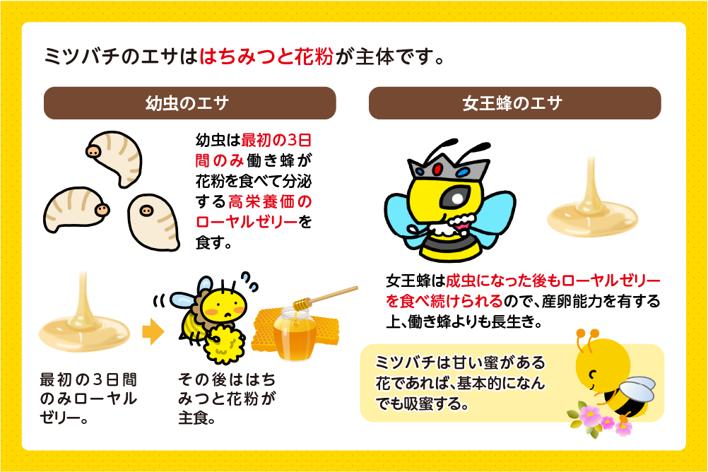 エサ・捕食対象