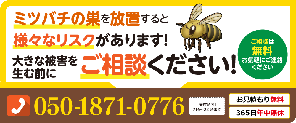 ミツバチの巣を放置するとさまざまなリスクがあります！大きな被害を生む前にご相談ください
