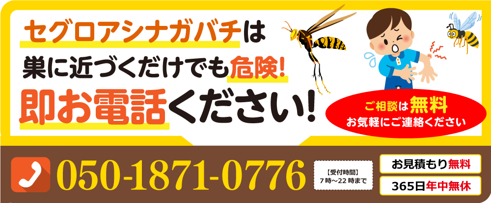 セグロアシナガバチは巣に近づくだけでも危険！即お電話ください