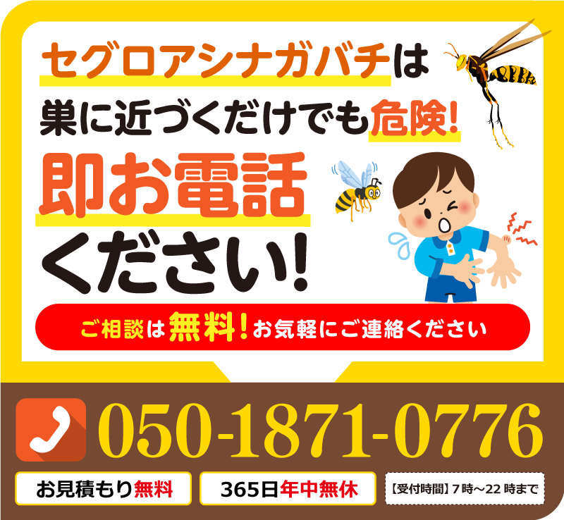 セグロアシナガバチは巣に近づくだけでも危険！即お電話ください