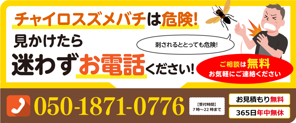 チャイロスズメバチは危険！見かけたら迷わずお電話ください