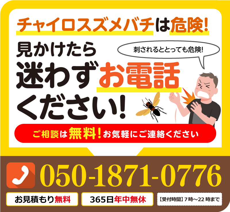 チャイロスズメバチは危険！見かけたら迷わずお電話ください
