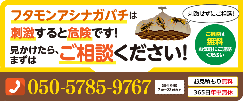 ふたモンアシナガバチは刺激すると危険です。見かけたらまずは、ご相談ください