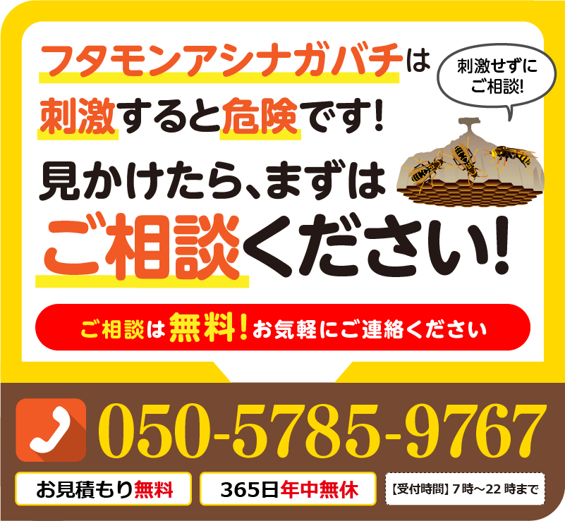 ふたモンアシナガバチは刺激すると危険です。見かけたらまずは、ご相談ください