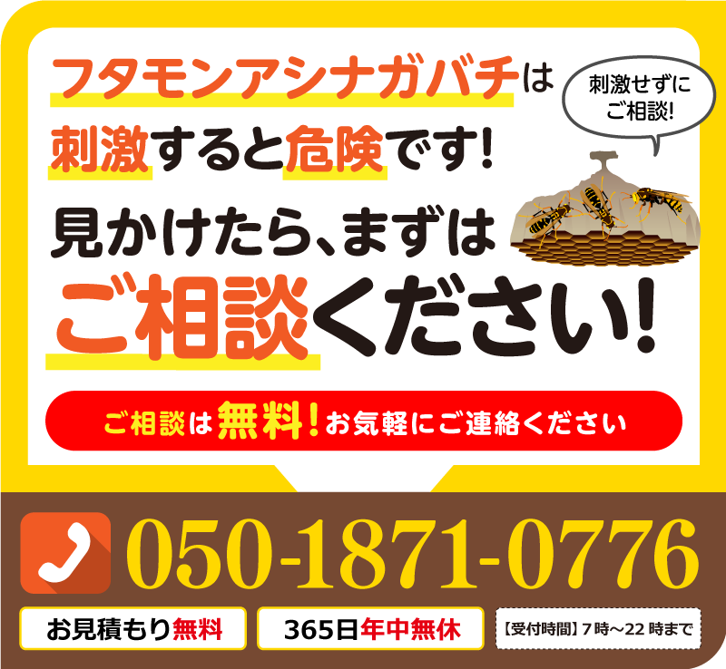 ふたモンアシナガバチは刺激すると危険です。見かけたらまずは、ご相談ください