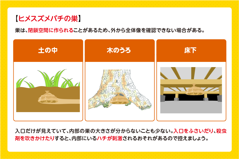 ヒメスズメバチの巣の見た目