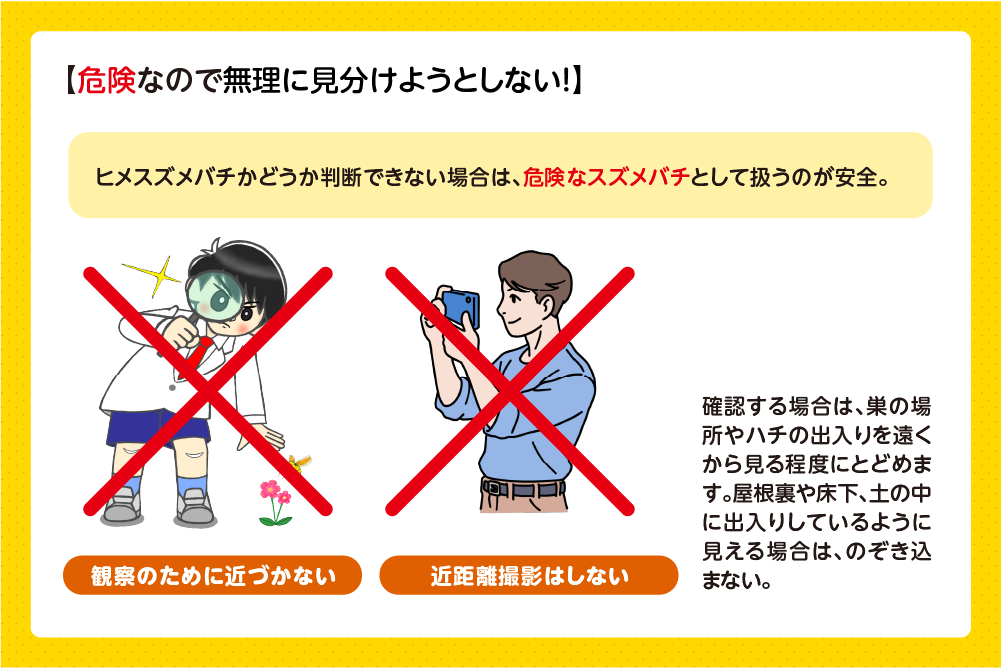 見分けが難しいときの注意点