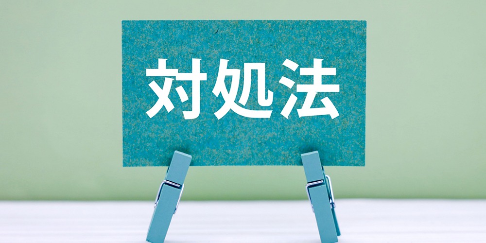 ヒメスズメバチの巣を見つけたときの対処法
