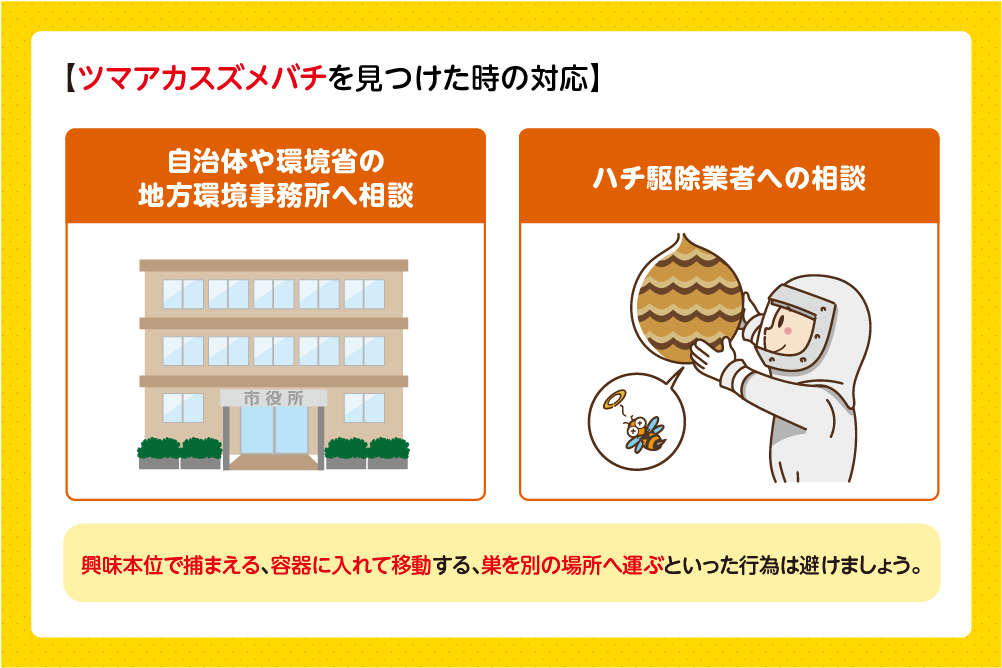 自治体や環境省の窓口、専門業者に相談する