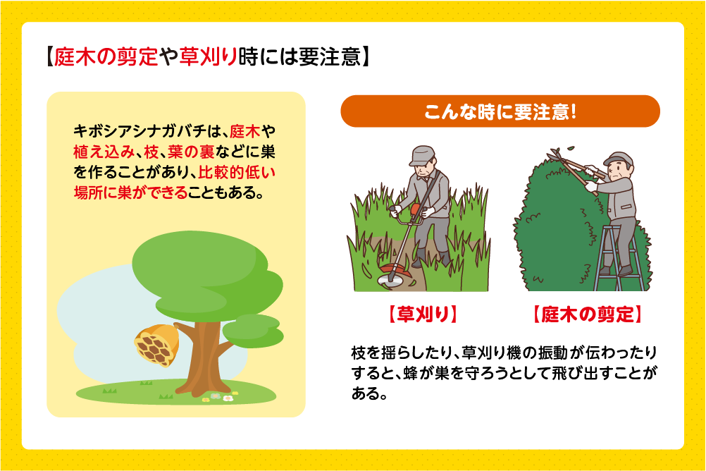 庭木や葉の裏などに巣を作ることがある