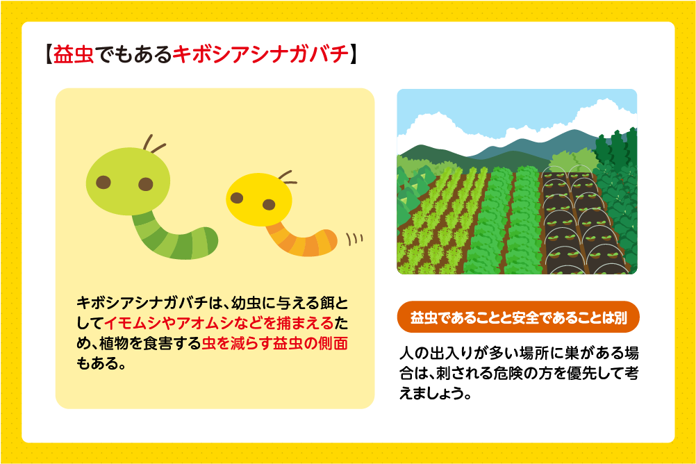 イモムシなどを捕まえる益虫の一面がある