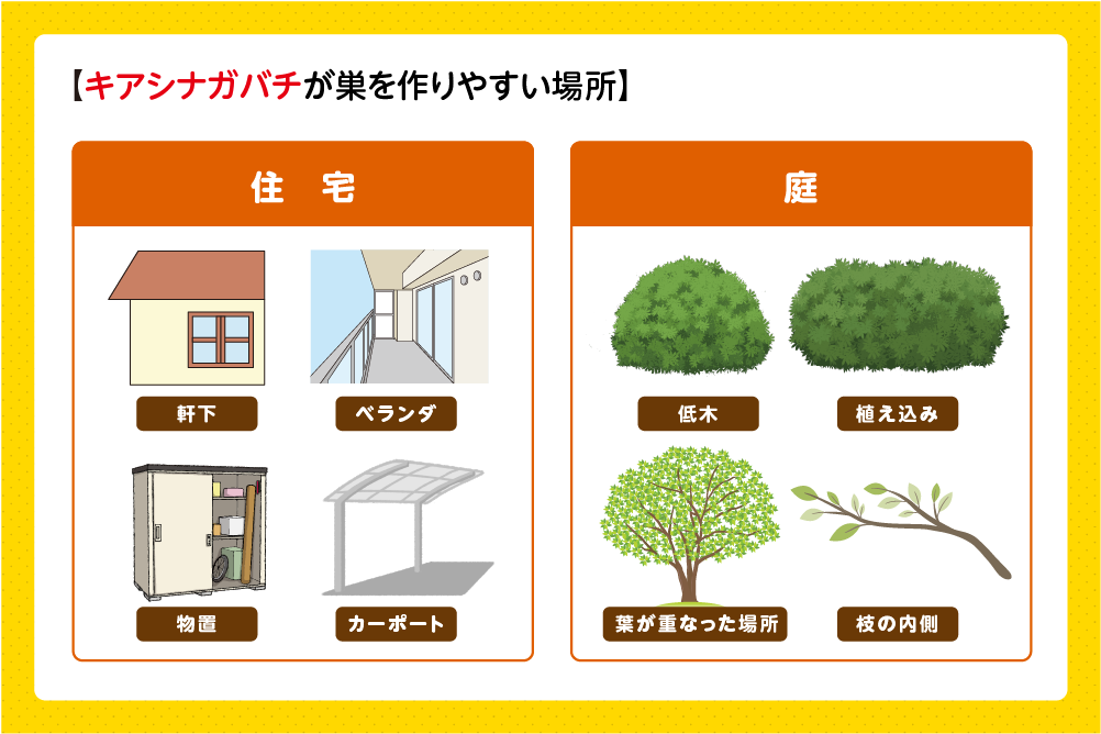 軒下や庭木など雨風を避けられる場所に作る