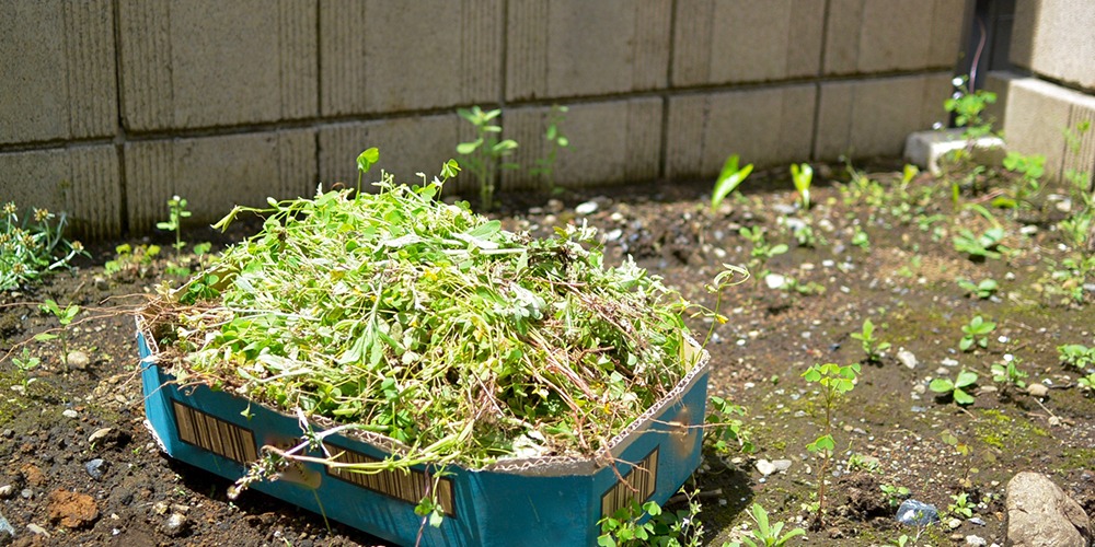 地蜂に巣を作らせないための対策