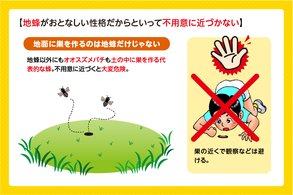 地面に巣を作る蜂がすべて地蜂とは限らない