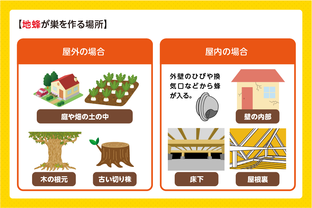 土の中や建物の隙間に巣を作る