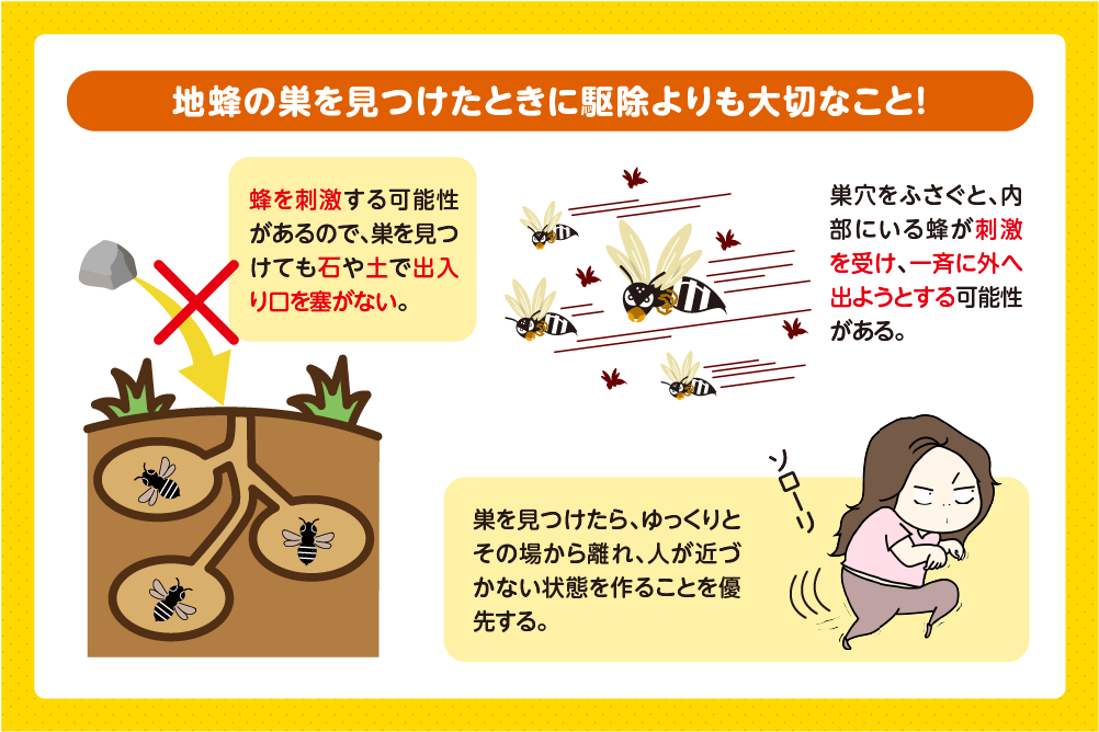 巣穴をふさがず静かに離れる