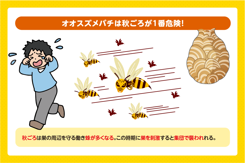 働き蜂が増える時期は集団での攻撃に注意する