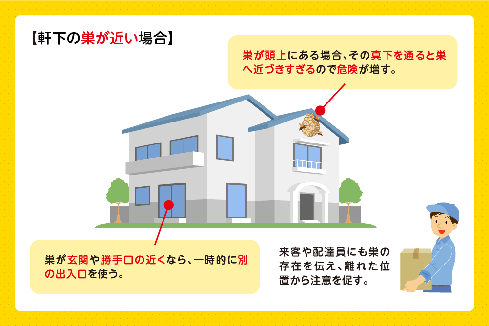 蜂の巣の真下や蜂の通り道を避ける