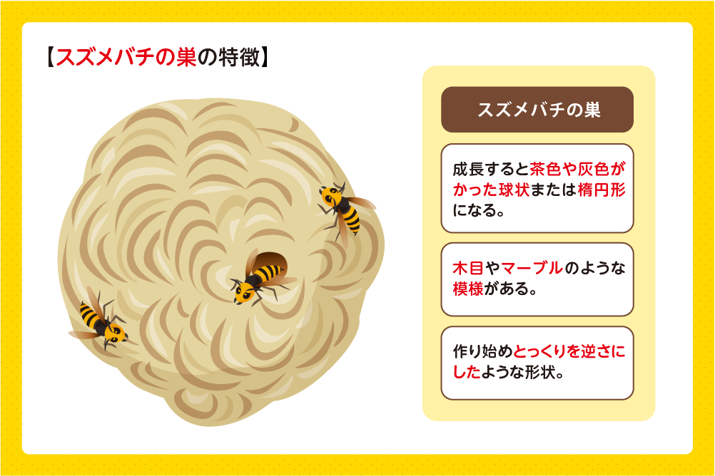 スズメバチの巣は外皮に覆われている