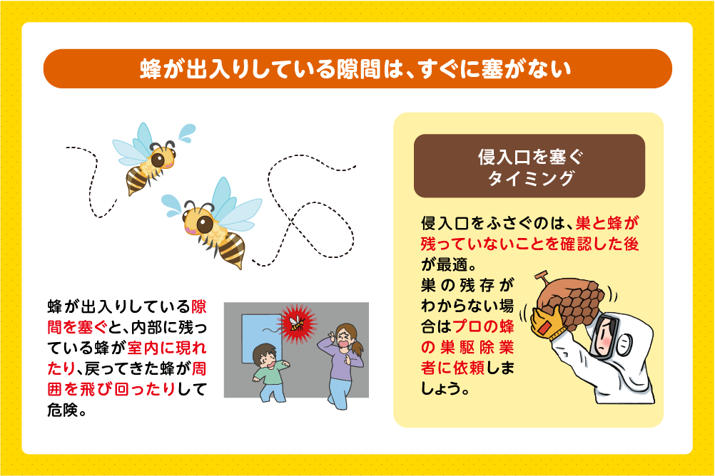 屋根や壁の隙間をふさがない